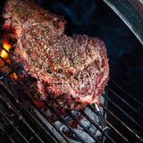 Meater Plus Meat Thermometer / Honey *