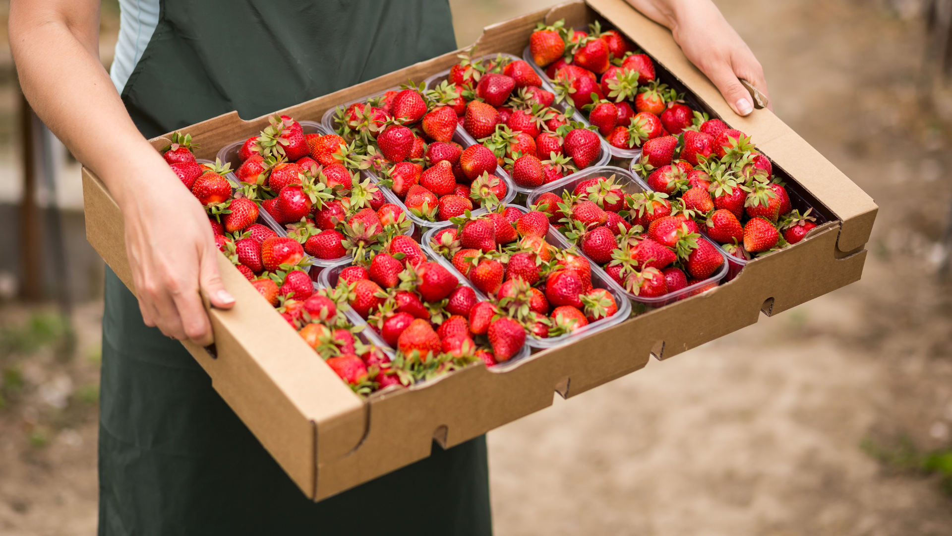 6 Pick-Your-Own Fruit Farms Near London