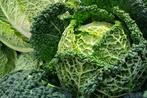 Steamed Savoy Cabbage