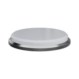 HORL Kagami Disc / Ultra Fine (For HORL 2)