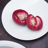 Jars Epure Side Plate / 20.5cm / Quartz