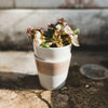 Jars Maguelone Tumbler / 140ml / Tamaris
