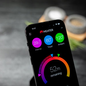 Meater Pro Meat Thermometer