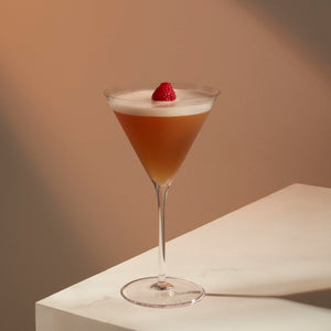 Richard Brendon Classic Martini Glass / Set of 2