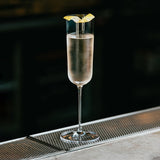 Richard Brendon Cocktail Champagne Flute / Set of 2