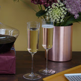 Richard Brendon Cocktail Champagne Flute / Set of 2