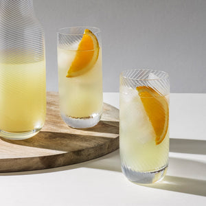 Richard Brendon Optic Highball Glass / Set of 2 / Clear