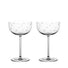 Richard Brendon Star Cut Coupe Glass / Set of 2 **