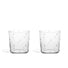 Richard Brendon Star Cut Rocks Glass / Set of 2 **