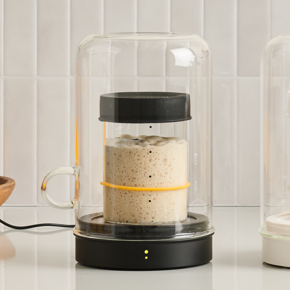 Sourhouse Goldie Sourdough Starter Warmer and Quart Jar Set / Black