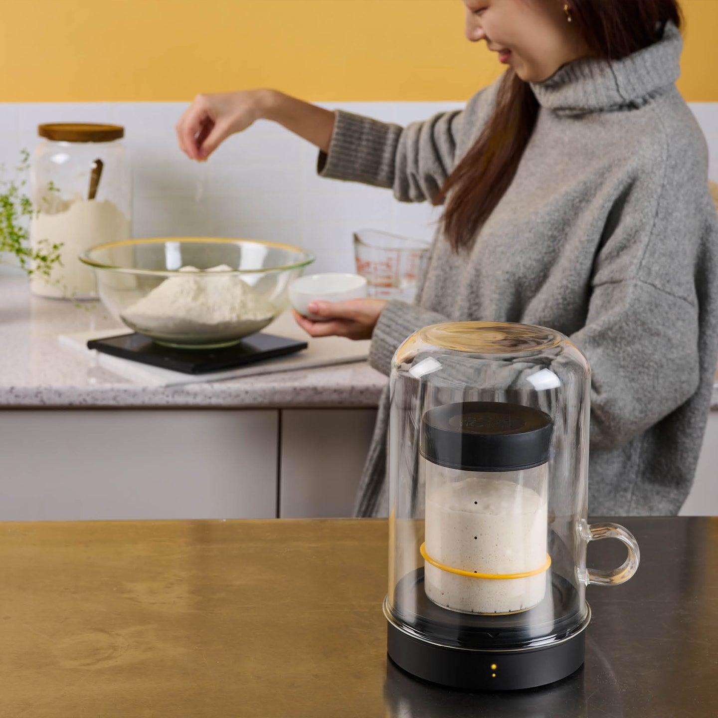 Sourhouse Goldie Sourdough Starter Warmer