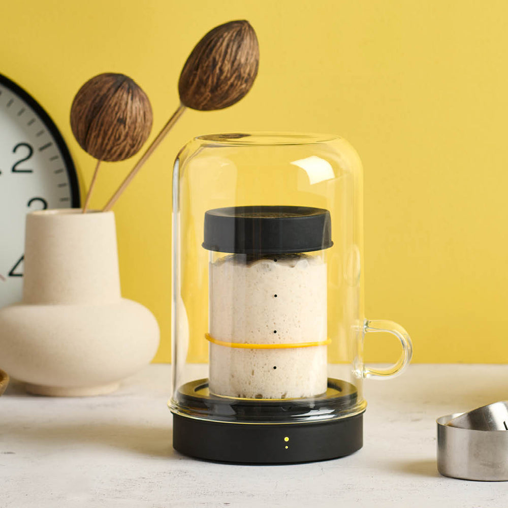 Sourhouse Goldie Sourdough Starter Warmer