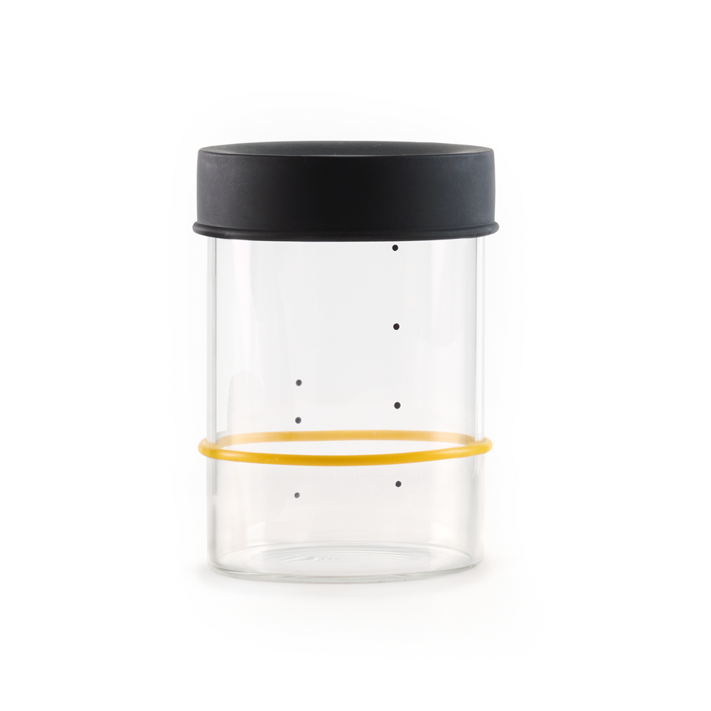 Sourhouse Starter Jar