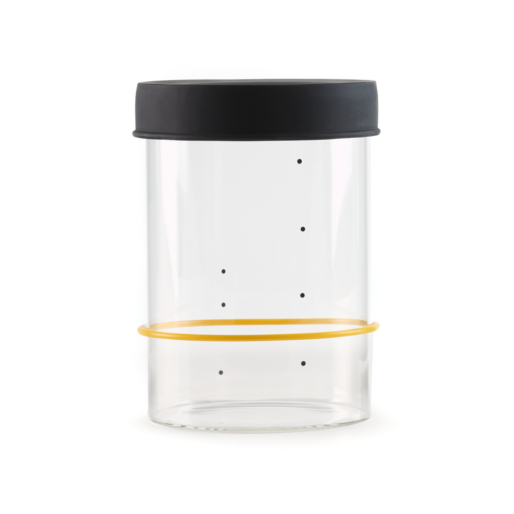 Sourhouse Starter Jar
