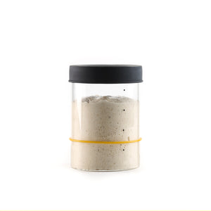 Sourhouse Starter Jar