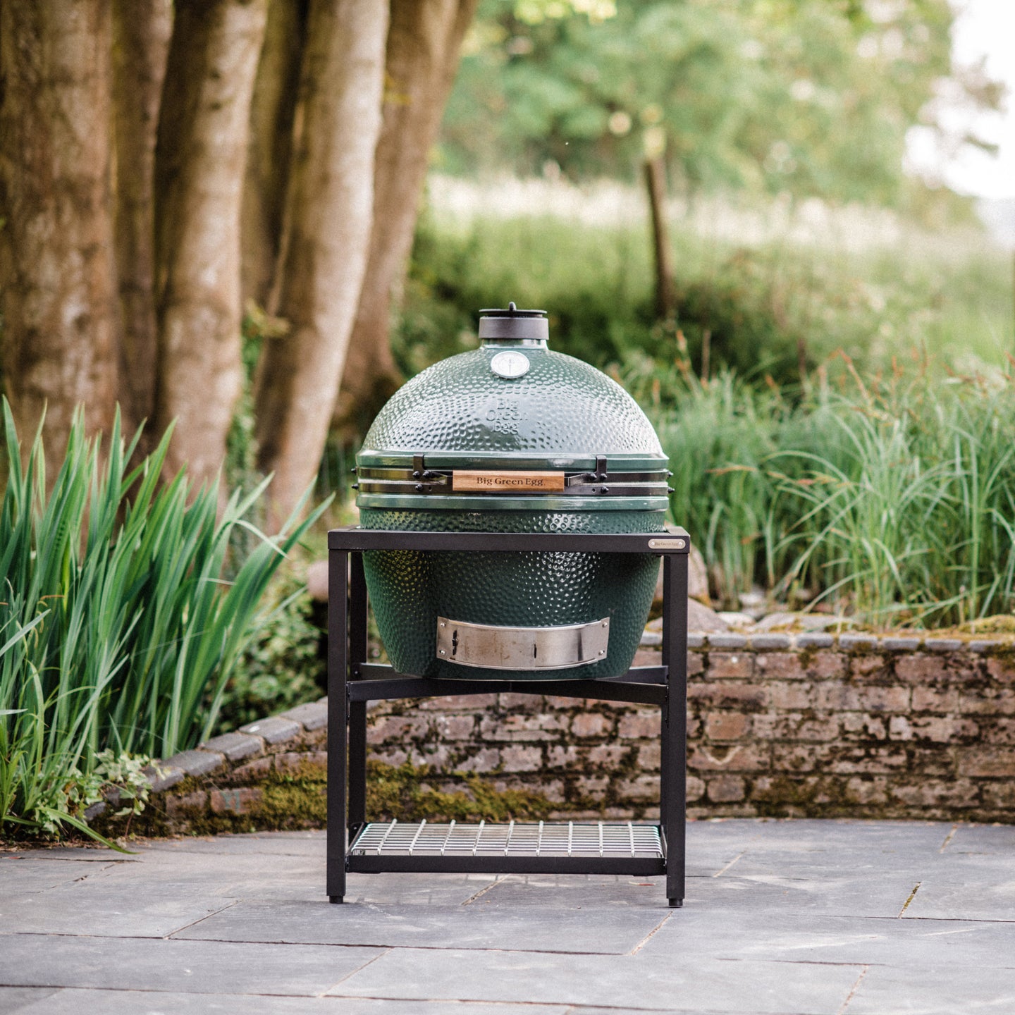 Big Green Egg