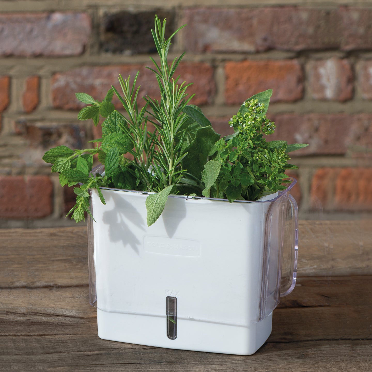 Cole & Mason Cut Fresh Herb Keeper Borough Kitchen