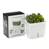 Cole & Mason Cut Fresh Herb Keeper