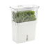 Cole & Mason Tealby Cut Herb Keeper