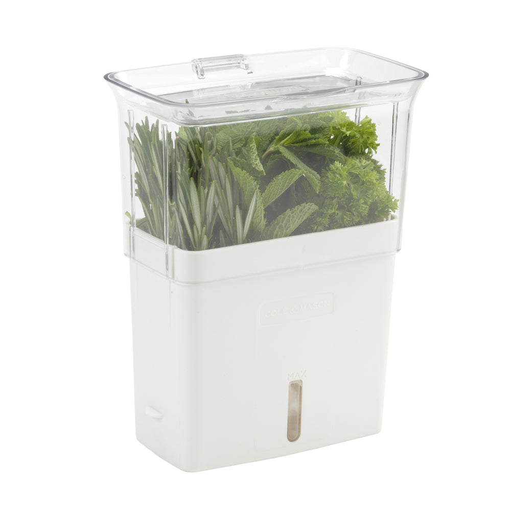 Cole & Mason Tealby Cut Herb Keeper