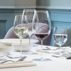 Leila Red Wine Glass / Set of 6