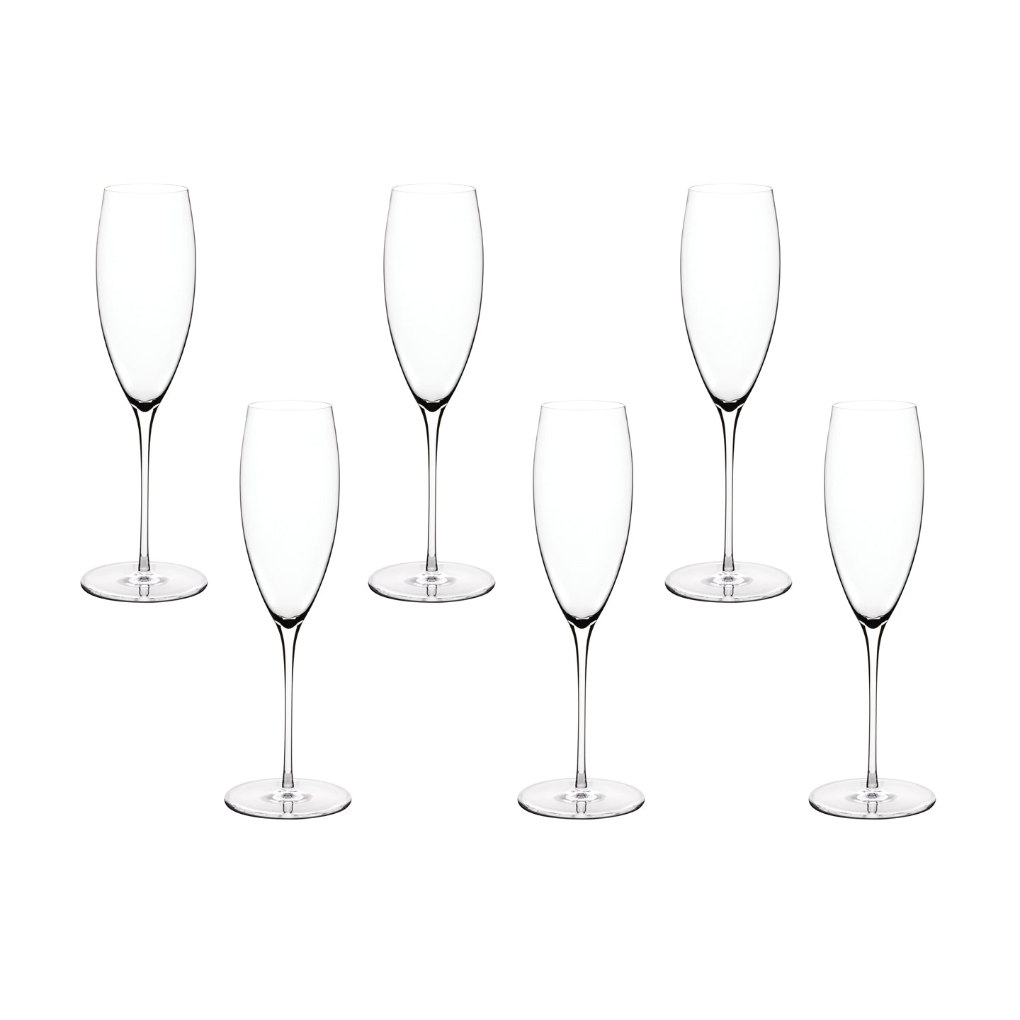 Malmo Champagne Flute / Set of 6