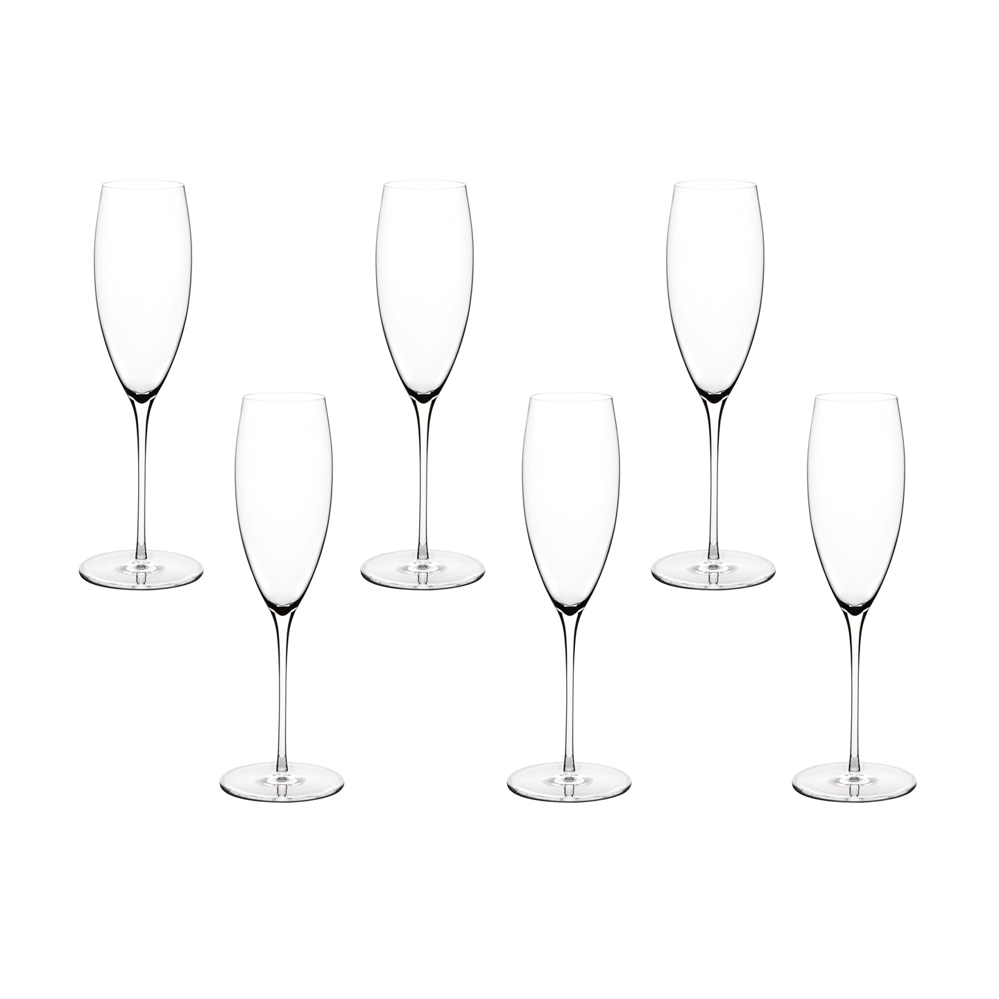 Malmo Champagne Flute / Set of 6 *