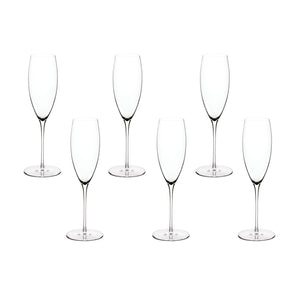 Malmo Champagne Flute / Set of 6 *