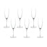 Malmo Champagne Flute / Set of 6 *