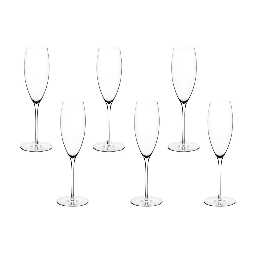 Malmo Champagne Flute / Set of 6