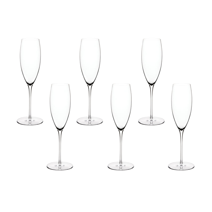 Malmo Champagne Flute / Set of 6 *