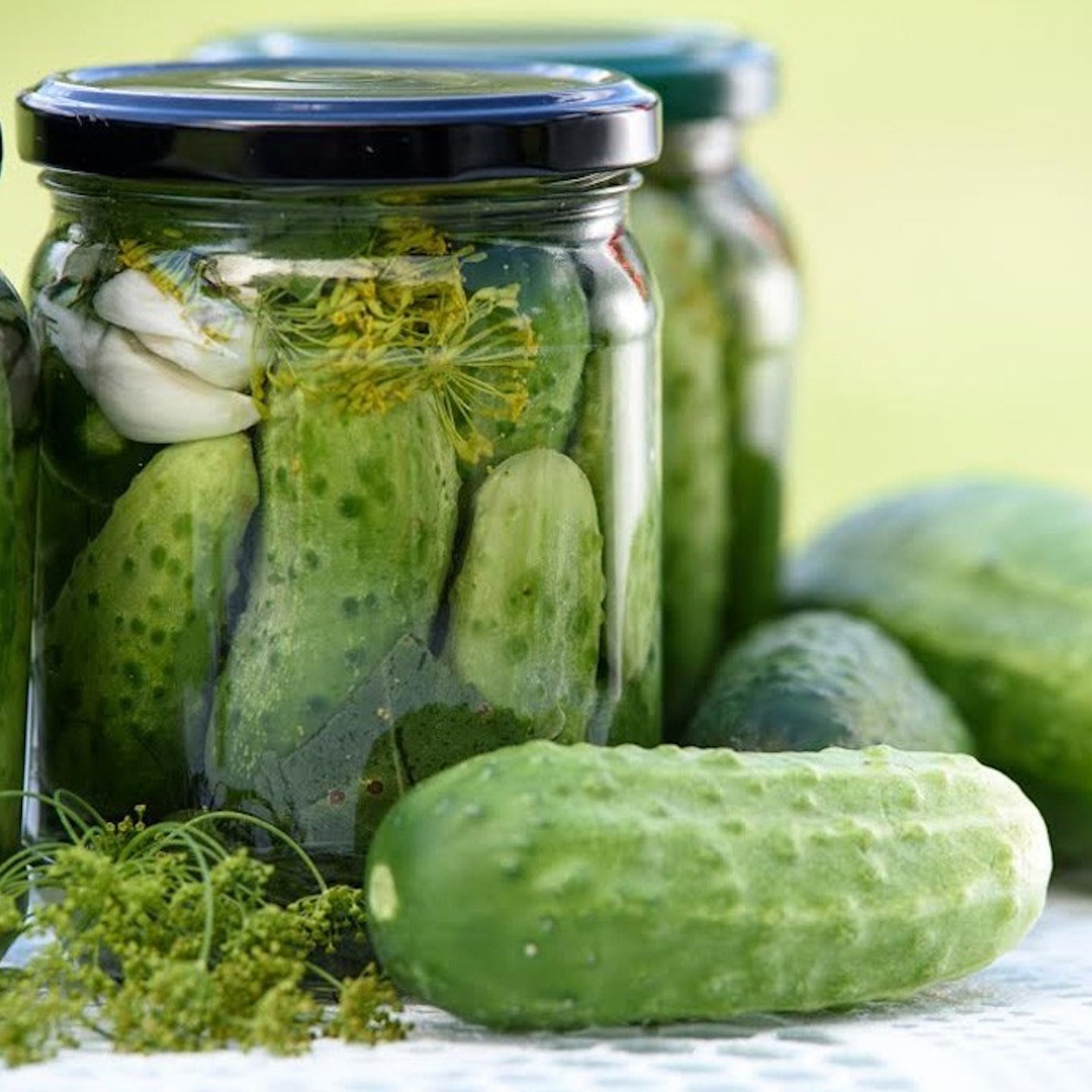 Fermentation and Pickling Cooking Class