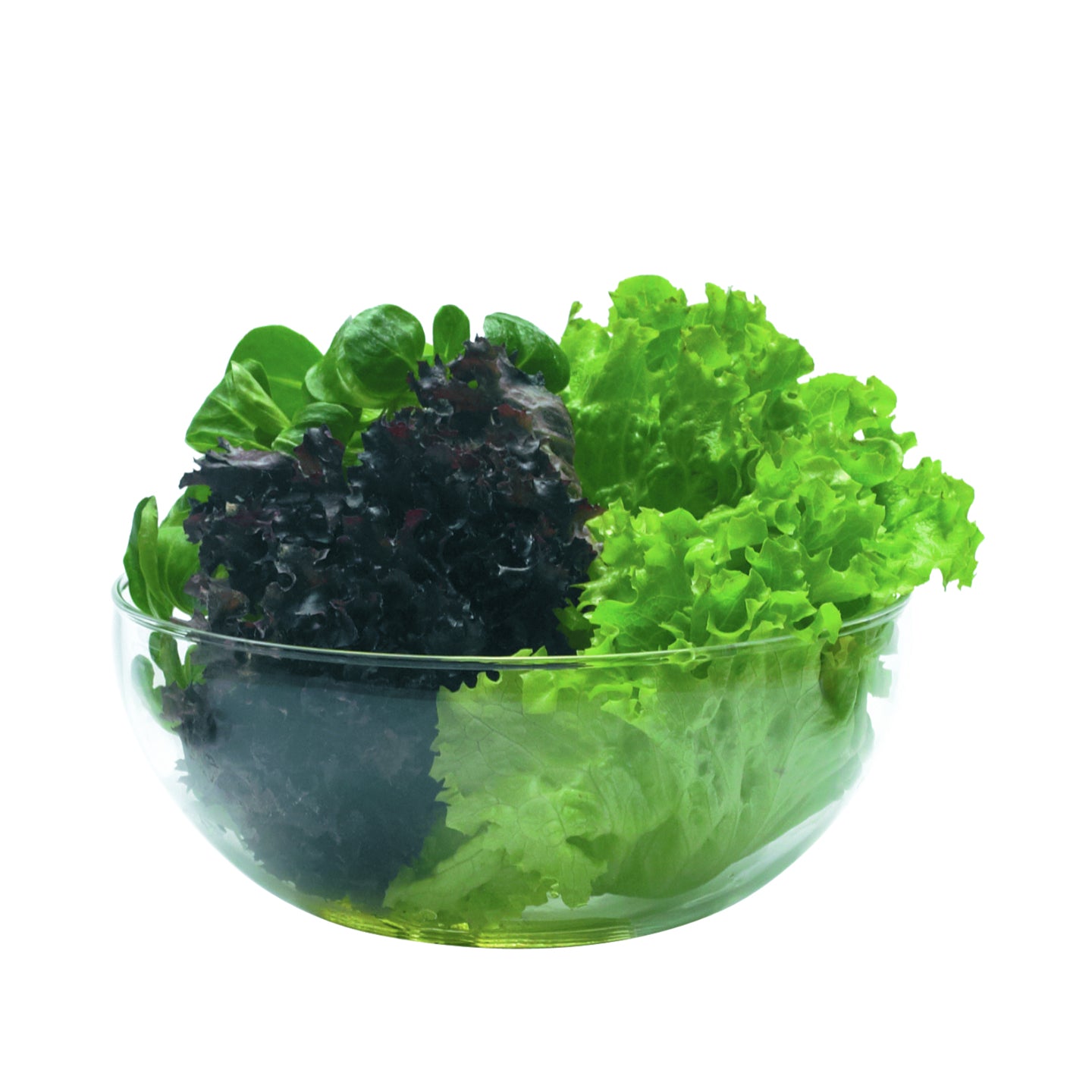 Jena Trendglas Bowl
