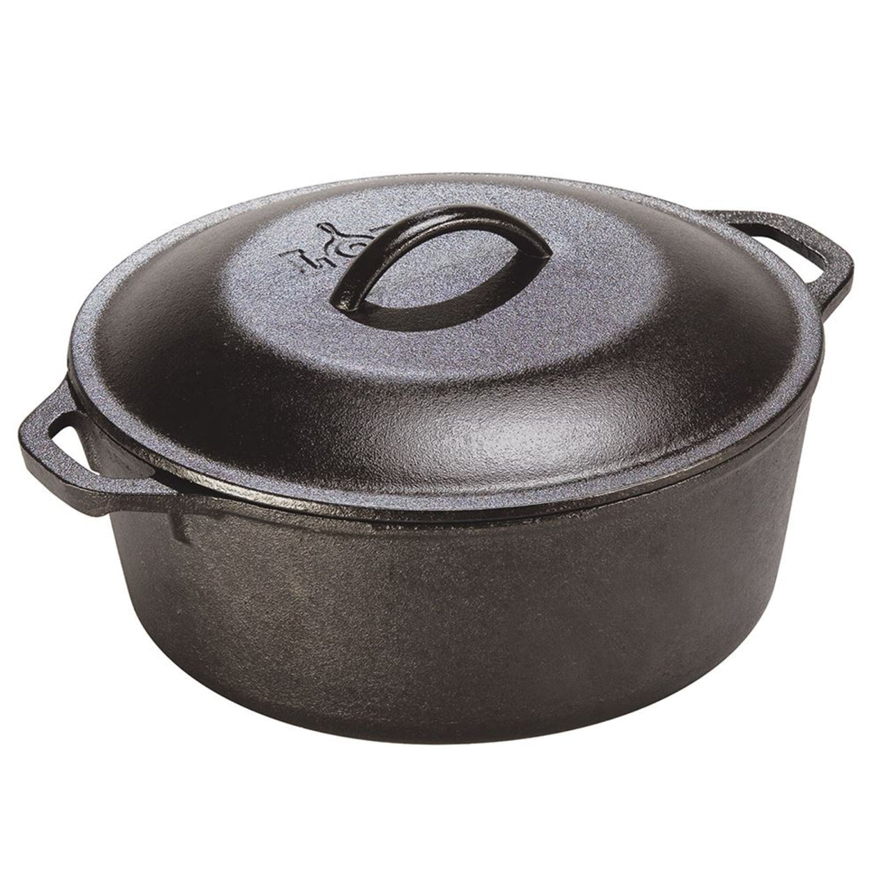 Lodge 14 inch clearance dutch oven