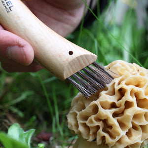 Opinel No. 8 Mushroom Knife