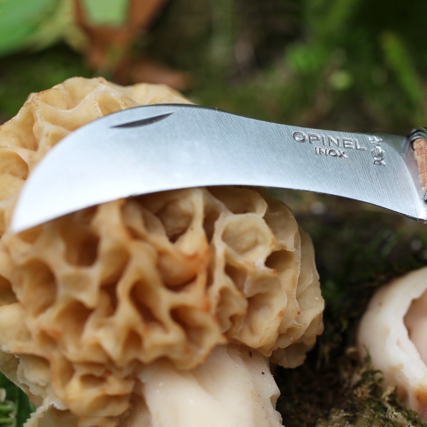 Opinel No. 8 Mushroom Knife