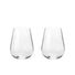 Richard Brendon + Jancis Robinson Water Glass / Set of 2
