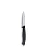 Victorinox Swiss Classic Serrated Paring Knife / 8cm *